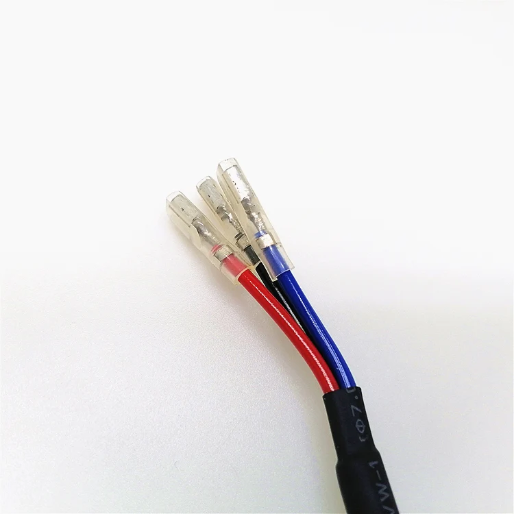 H15 C10-MODEL Anti Flicker Led Conversion Kit Error Free Wiring Harness Adapter - Image 3