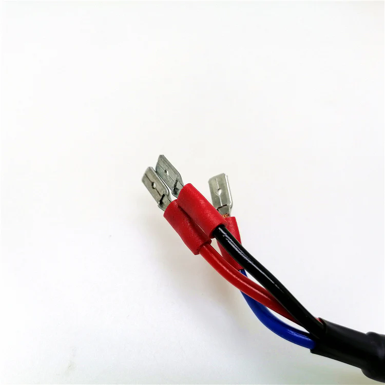 H15 C10-MODEL Anti Flicker Led Conversion Kit Error Free Wiring Harness Adapter - Image 8